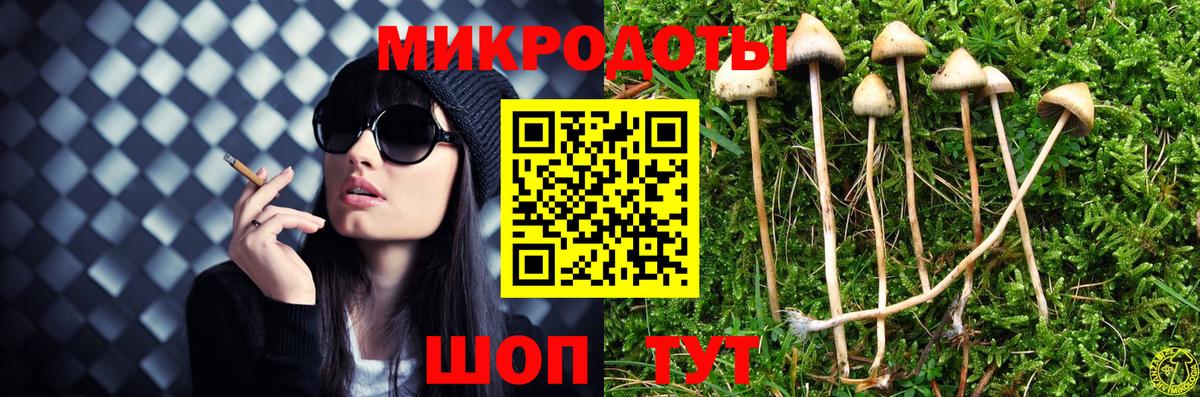 Уссурийск  закладка  Галлюциногенные грибы мухоморы  Вход с VPN  Галлюциногенные грибы Magic Shrooms 